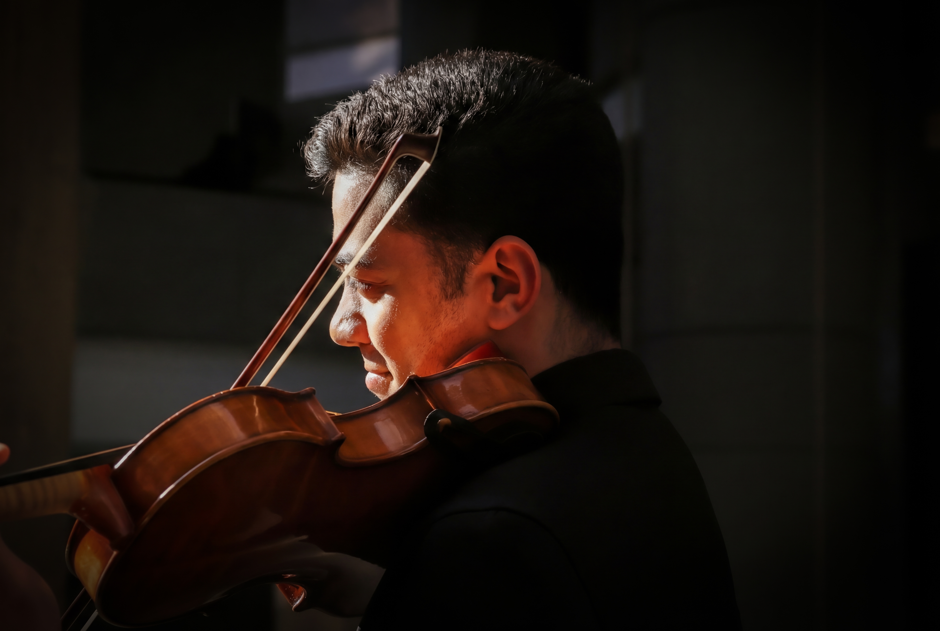 Thierry de Lucas performing with orchestra